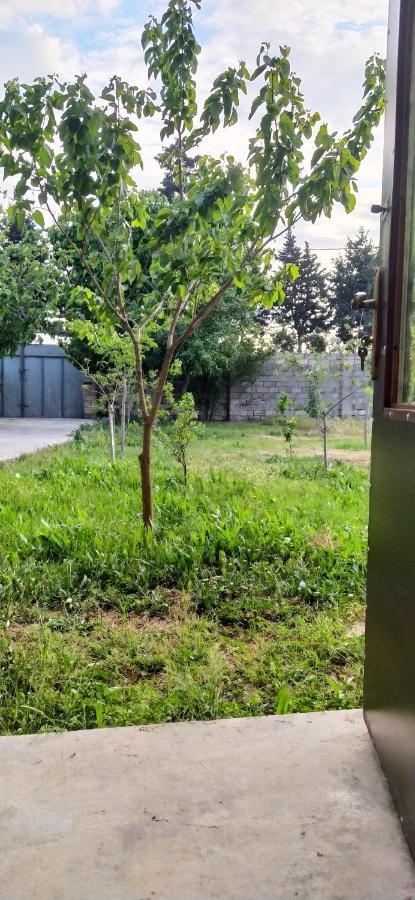 Apartment Near Baku Airport Exterior foto